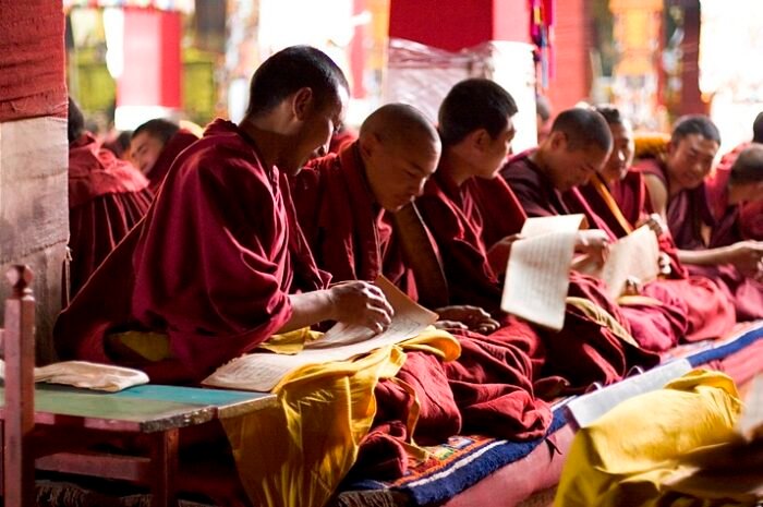 Tibetan Monks studing scriptures.