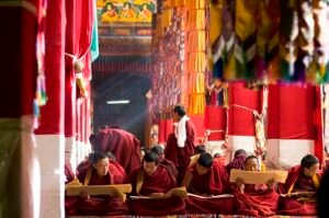 Tibetan monks doing their chanting in the morning