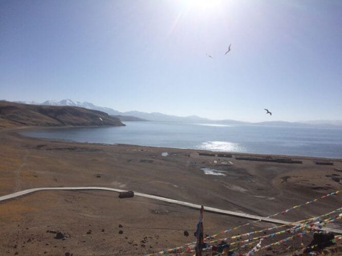 Lake Manasarovar and Flying Birds