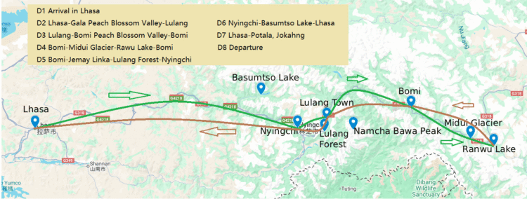 8-day Tibet Peach Blossom Festival tour route map, showing the itinerary across key scenic spots in Tibet.