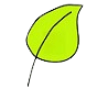 website logo new